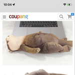 대학생 <b>필통</b> 이거 ㅂㅅ같음?