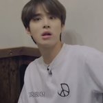[NCT칠프] ㄹㅇ 강아지같다