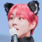 [엔하이픈] <b>생선</b>이 없다구요?!?!