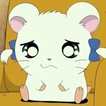 [19] ㅅㅂ 반수생인데 인강 <b>커리</b> 잘못탄듯