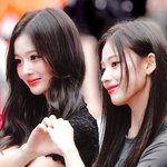 설윤은 버블 같은 거 하면