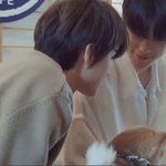 [NCT칠프] <b>귀여</b>미