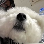 <b>민증</b> 발급 받은 애들아