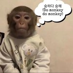 [댓글부탁해] 나 같은 애 있나??