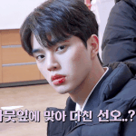 <b>개존</b>잘