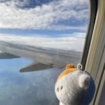 [NCT드림] ㅅㄷ 맛있는 <b>샐러드</b> 추천 좀