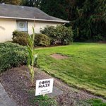 참 <b>영리</b>한 사람들