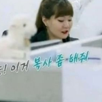 한국 직장인 <b>체험</b>하는 외국인 재벌