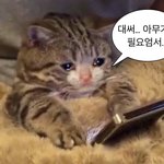 고등학교 가면 <b>학생증</b> 또 발급받아??