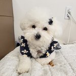 우리집 막내 <b>자랑</b> ㅋㅋ