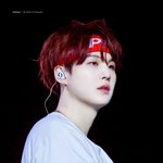 [군대] <b>레드브라운</b>