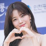 와 <b>노정</b>의 개이뻐