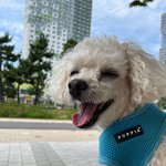 [더보이즈] <b>보리</b>사진 보면서 웃자