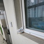 [꼭조언부탁] <b>옆집</b> 쓰레기 때문에 미치겠어요.. 도와주세요
