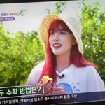 스테이씨 머냐..?