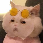 [댓글부탁해] 분당 <b>수내</b>고 다니는사람!!ㅠㅠ