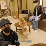 [NCT칠프] 안즈 궁디 <b>팡팡</b> 해주고싶다