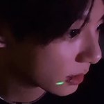 집나간 <b>정국이</b>를 찾습니다