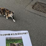 [19] 이거 짝남이 나한테 관심없는거 백퍼지??