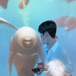 <b>재현</b>물범