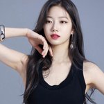 그러고보니 이제 르세라핌 <b>영업</b> 마음껏 할 수 있음