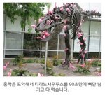 <b>티라노</b>를 잡아먹는 홍학떼