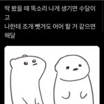 수달이랑 <b>해달</b> 구분하는 방법 ㅋㅋㅋ