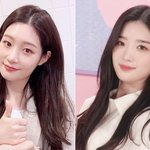[ㅈㄱㄴ] 김유연이랑 정<b>채연</b> 닮지 않았어?