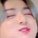 정국 앵그리<b>버드</b> 돼지같앙