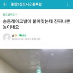 동탄 신도시 불륜 폭로