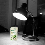 두유언더스탠드