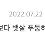 윈터보고 <b>뱃살</b>이 많다는 판녀