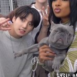 전정국 완전 <b>말</b><b>티쥬</b>