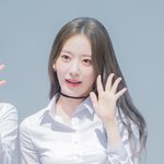 사쿠라가 25세네.jpg