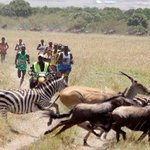 <b>케냐</b>의 마라톤 대회