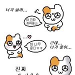 콘서트 <b>솔플</b> vs 동행