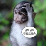 [19] 똥머리가 베스트이면 무슨머리해야하지??