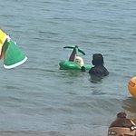 ㅅㅂ 바다 놀러왔는데 개가 <b>튜브</b> 타고있노