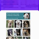 [군대] 호비 투표하러 갔는데