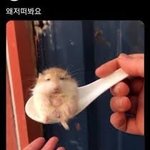 성형으로 이렇게 바뀌는거 ㄱㄴ임??