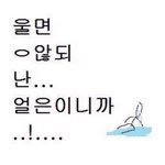 [더보이즈] 여긴 그냥 내 짤털이 되어버린듯