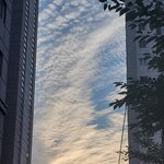 [모두드루와] 뉴진스는 진짜 잘 뽑았다고 생각하는게
