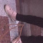 와씨 나 초6때 찍은 영상보다도 <b>기겁</b>함