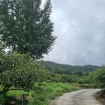 정판녀 할머니 <b>밭일</b> 따라가는 중