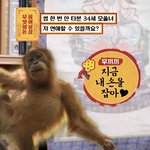 물어<b>보살</b> 이거 노린거지..?