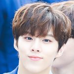 [모두드루와] 세븐틴만큼 그<b>사세</b>인돌도 없을듯