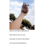 [드루와] 가슴<b>개작</b>은사람있냐?