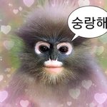 아니 근데 ㅋㅋ 민희진 <b>감성</b>