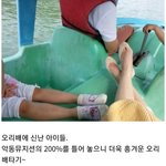 [방탈죄송] 이 부모 어떻게 생각하시나요?