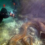 조금 더 깊은 <b>물</b> <b>속</b>으로 들어가면?!